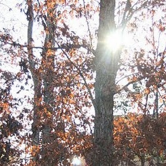 Meet your Posher, Beckey - Picture 1 of 1